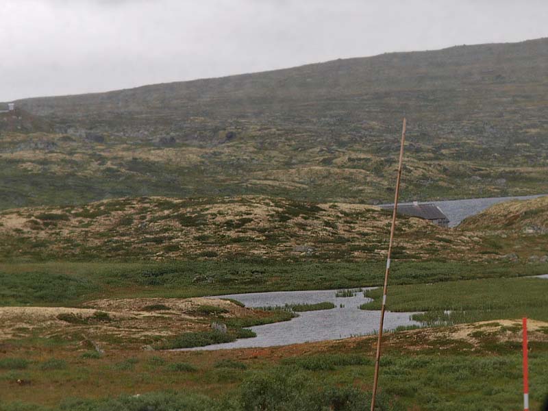 ������� ���������: ��������������. ��� � ��������: ������ � ��������������