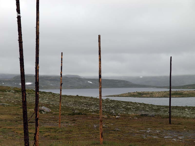 ������� ���������: �������� ���� ��������������. ��� � ��������: ������ � ��������������