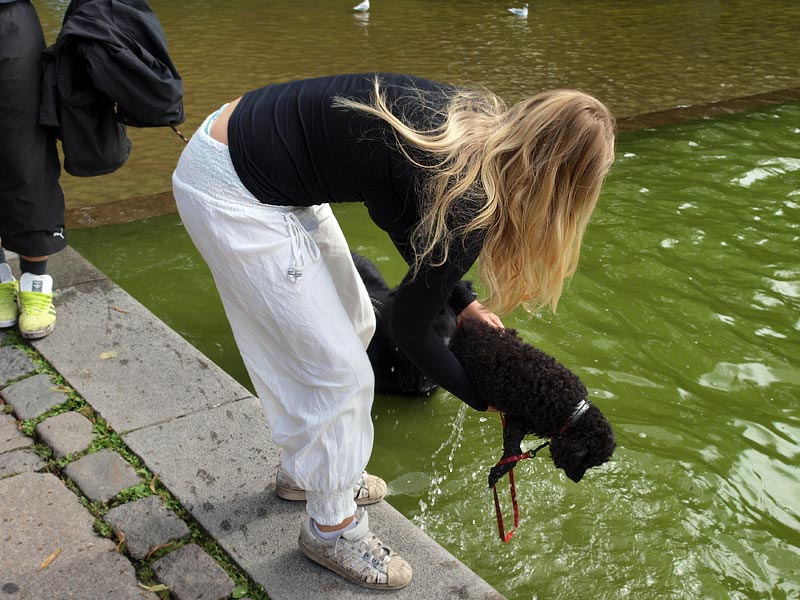 ������� ���������: �������� �����. ��� � ��������: ������, ������ � ����