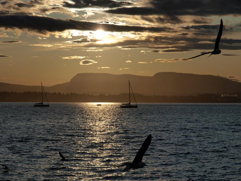 ������� ���������: �������� �����. ��� � ��������: ����� �� ����������