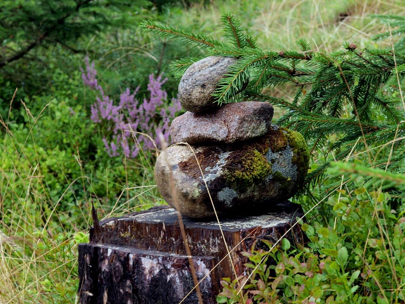 ������� ���������: ������ ��� ��������?. ��� � ��������: ������, ���� � �����������