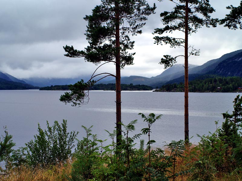 ������� ���������: ������� �������� �������. ��� � ��������: ������, ���� � �����������