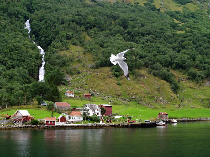 ������� ���������: ������� ��-���������. ��� � ��������: ������, ���� � �����������