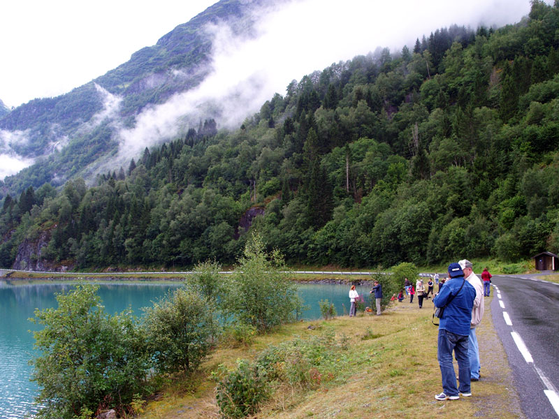 ������� ���������: ������� ���������. ��� � ��������: ������, ���� � �����������