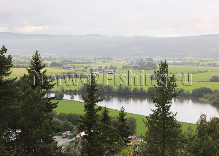 ������� � ��������: ����������� ������ (��������)