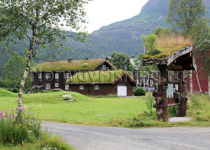 ������� � ��������: ����� ������ �������� (����� �������)