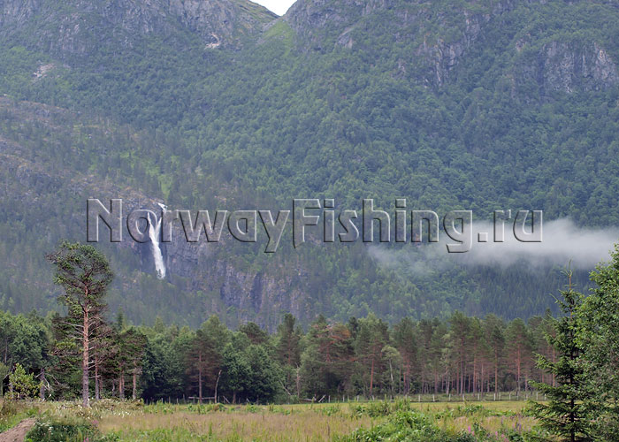 ������� � ��������: ��������� ���������� (����� �������)