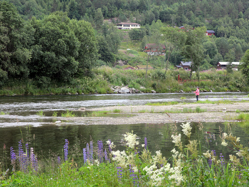 ������� � ��������: ����� ����� (������ �� ����� �� �����)