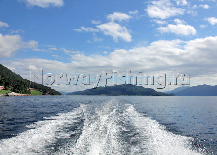 ������� � ��������: ������������� (������� �������)