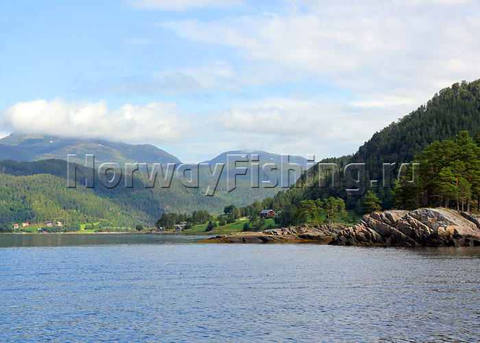 ������� � ��������: ��������� ������� (���������� ������)