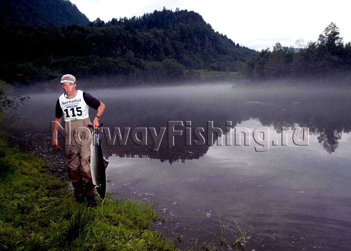 ������� � ��������: �������� ���� (������� �� �����)