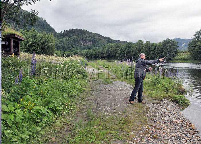 ������� � ��������: ����������� ����� ������ (������� ���� �����)