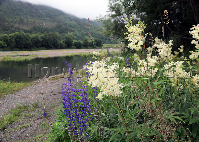 ������� � ��������: ���� ����� ���� (���� �����)