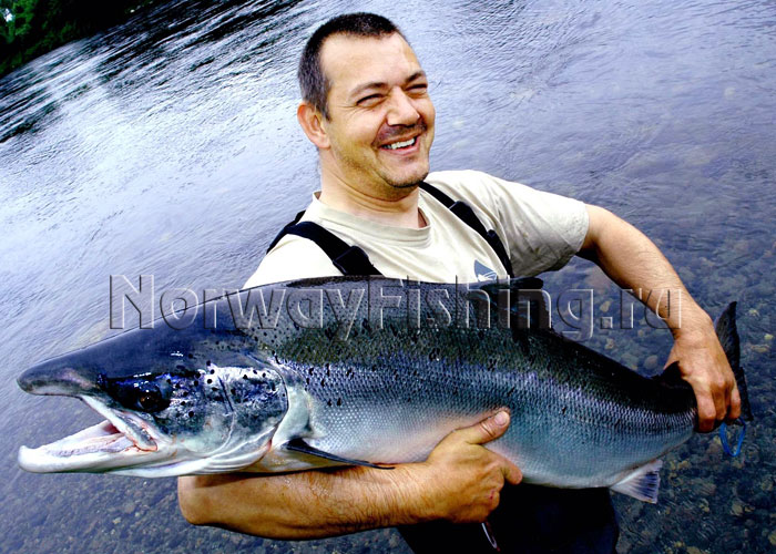 ������� � ��������: ��������� ������ (���������� �����)