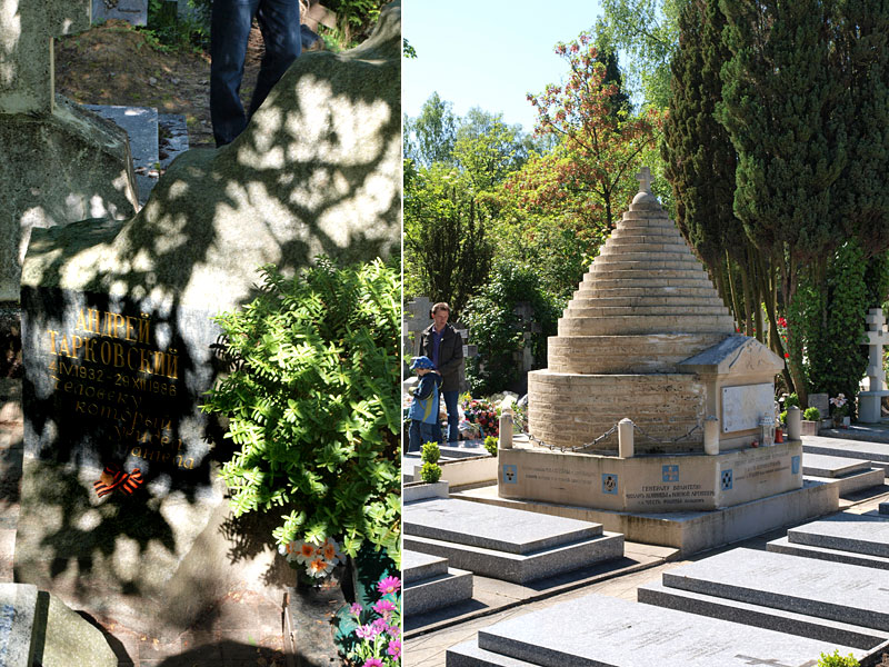 ������� ���������: ������ ����������� � �������� ������������. ������� ��������