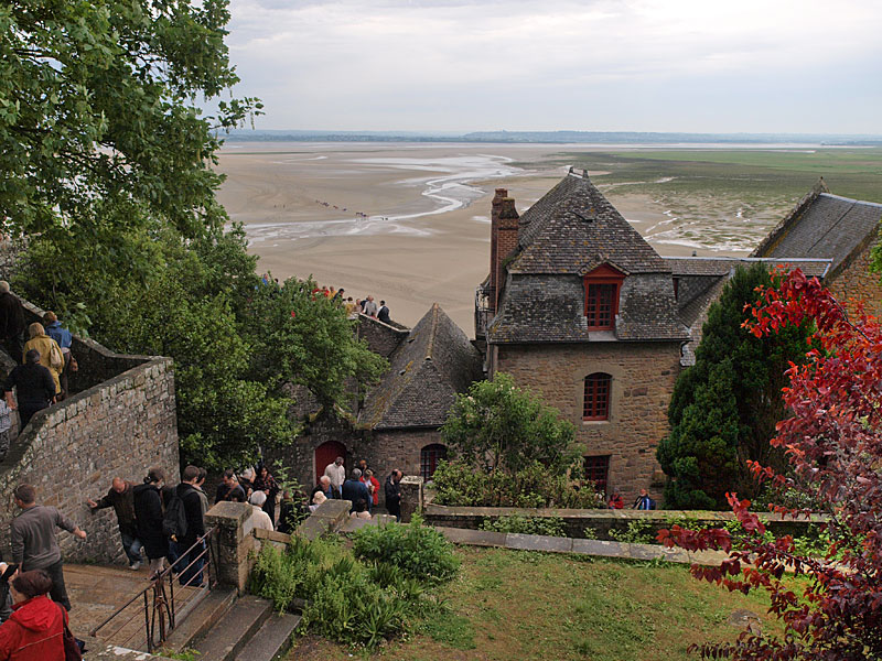 ������� ���������: ������� ���� ���������. ���� �����