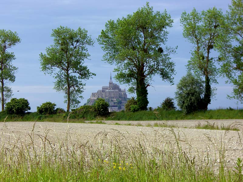 ������� ���������: ������ �����. ���� �����