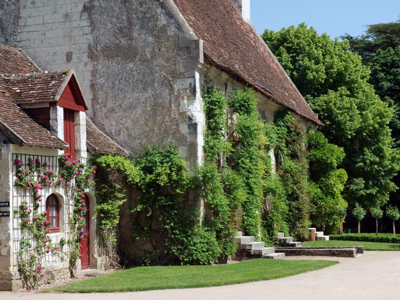 ������� ���������: �������. ����� �����