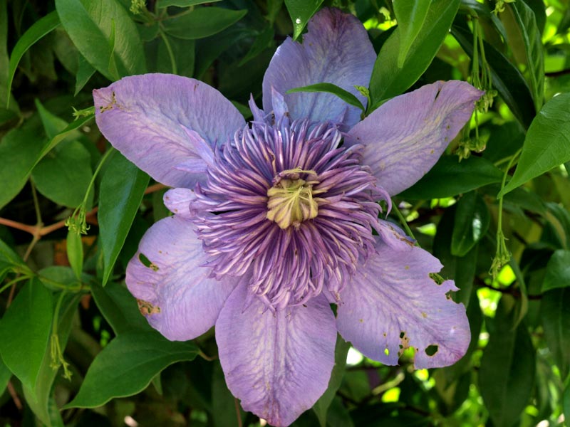 ������� ���������: � ����� �������. ����� �����