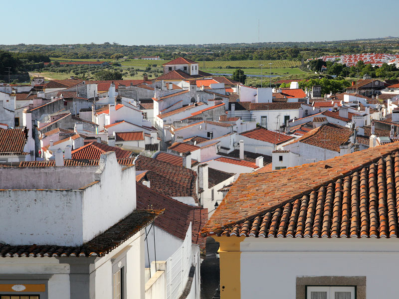 ������� ���������: ����� ������. �����