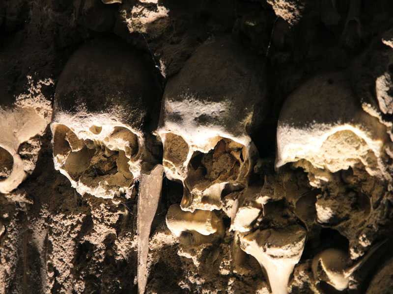 ������� ���������: ������� ������. �����