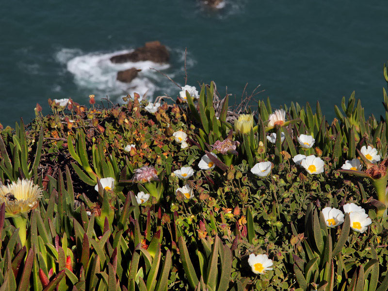 ������� ���������: � �� ������ ������ �����. ��� ���������