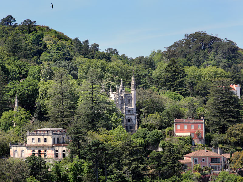 ������� ���������: ����� ���������. ������