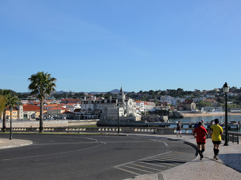 ������� ���������: ������ �����. �������