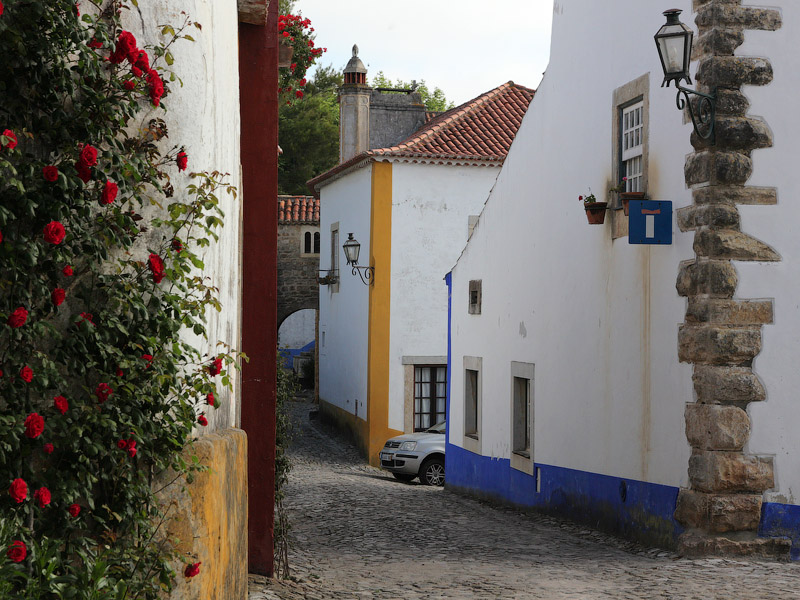 ������� ���������: ������������ �����. ������