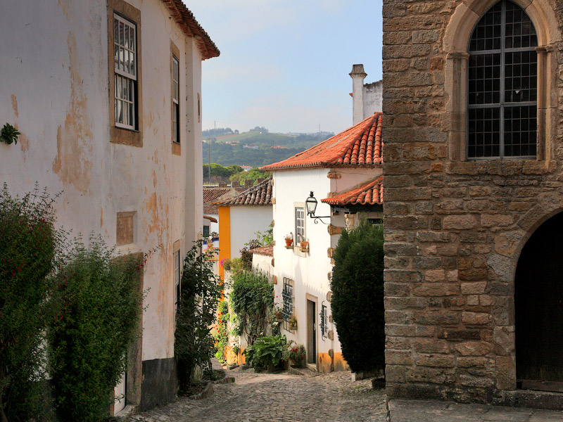 ������� ���������: ������� �� �����. ������