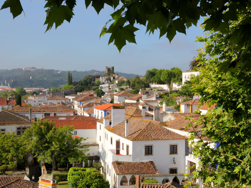 ������� ���������: �����-��������. ������