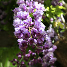 �������� �� ������