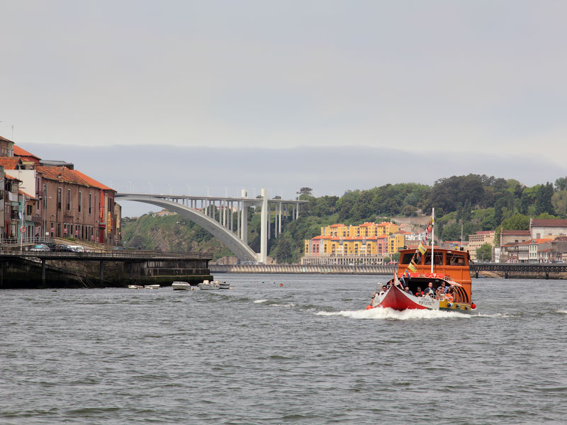 ������� ���������: ���� ��������. �����