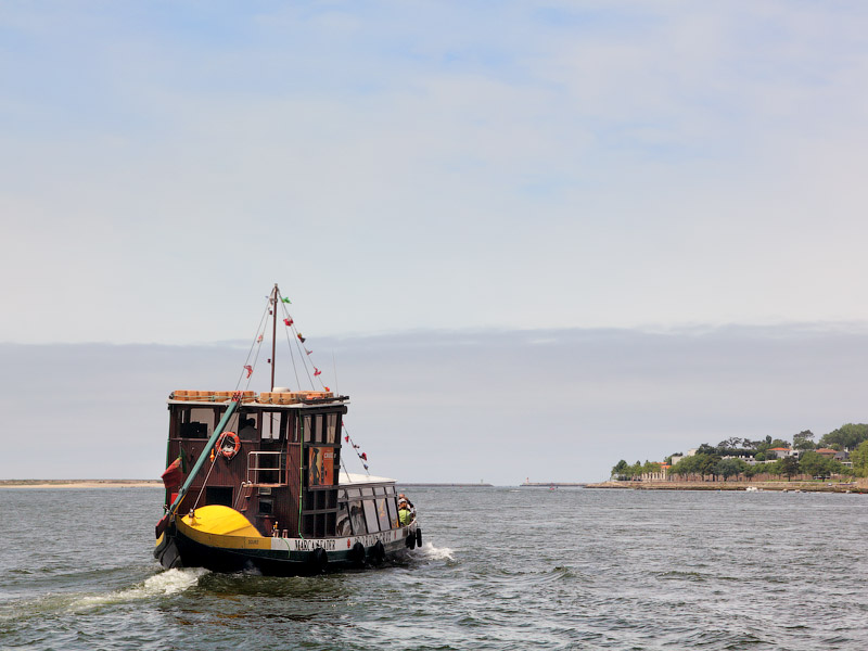 ������� ���������: ���������. �����