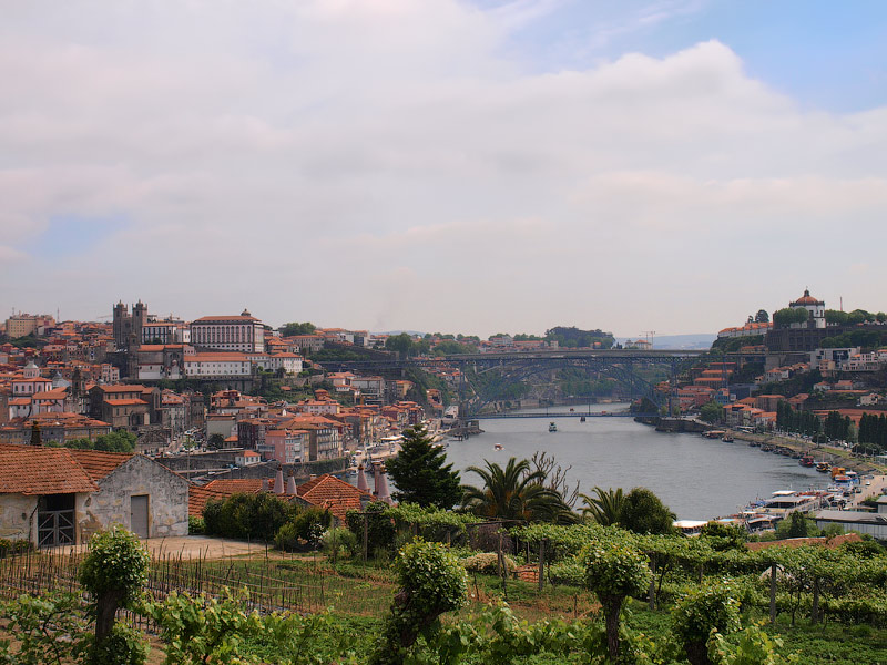 ������� ���������: �������� ������. �����