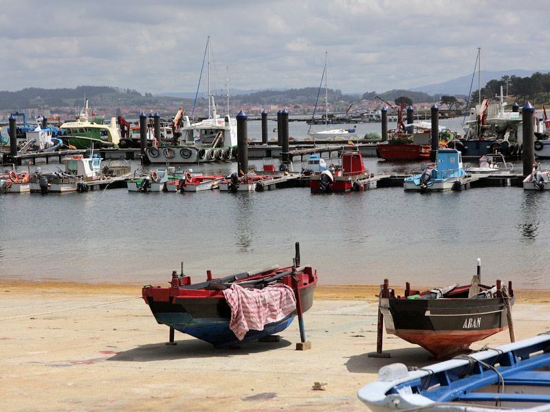 ������� ���������: � �����������. �������