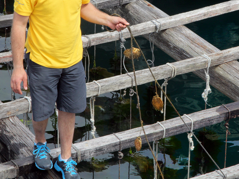 ������� ���������: ������� ��������. ����� ������� ��������