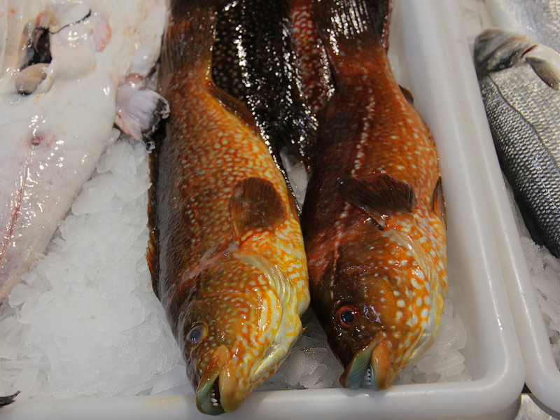 ������� ���������: �� ��������� �����. �������