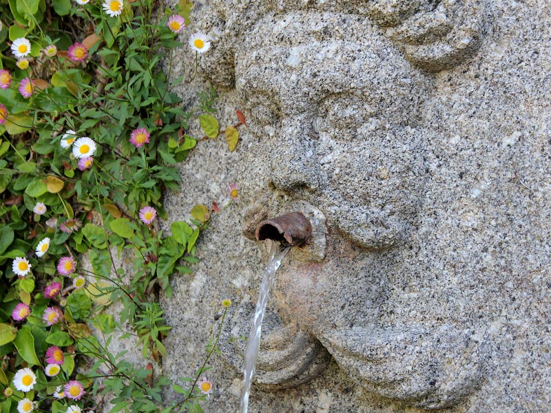 ������� ���������: ���� �������. �����