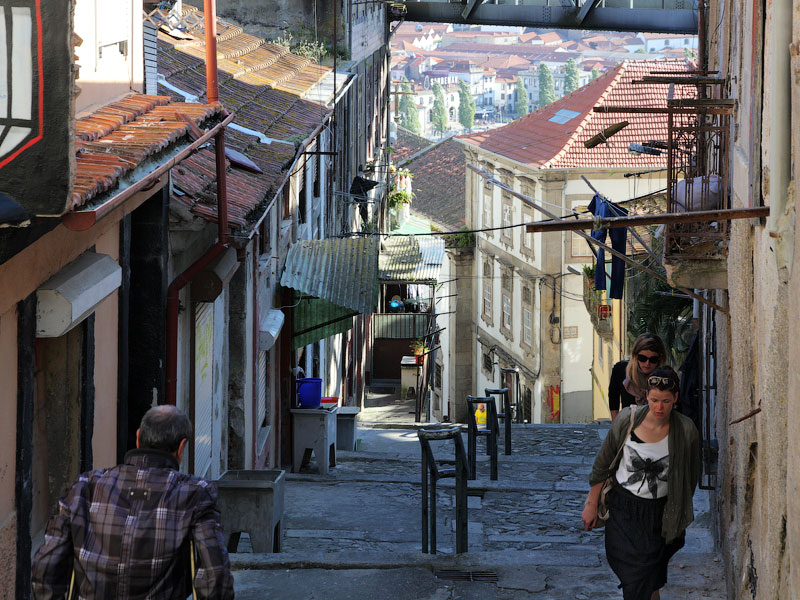 ������� ���������: ������ ����. �����