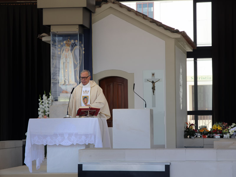 ������� ���������: ���� ������. ������