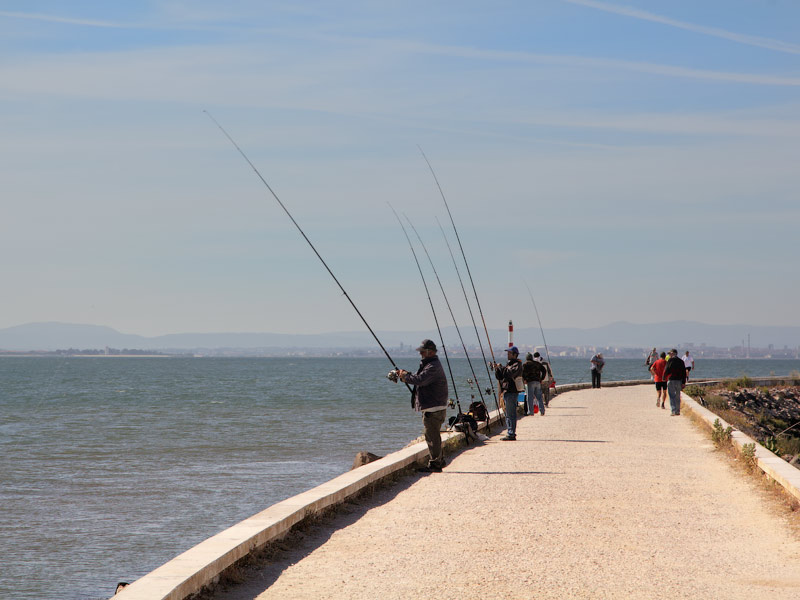 ������� ���������: ������ ������ ����. ����������