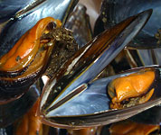 ������ �����