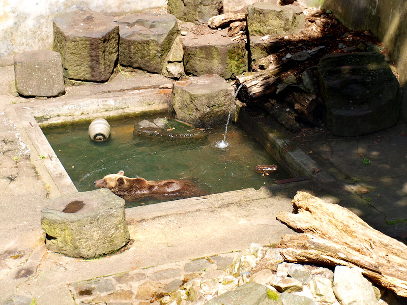 ������� ���������: ��� ����� ����. ������� � �����