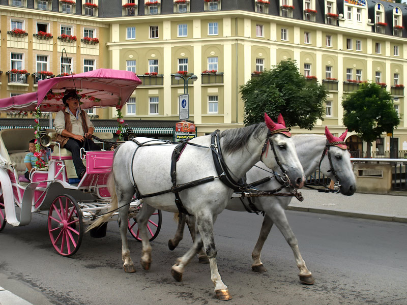 ������� ���������: ��, �������!. �� ������