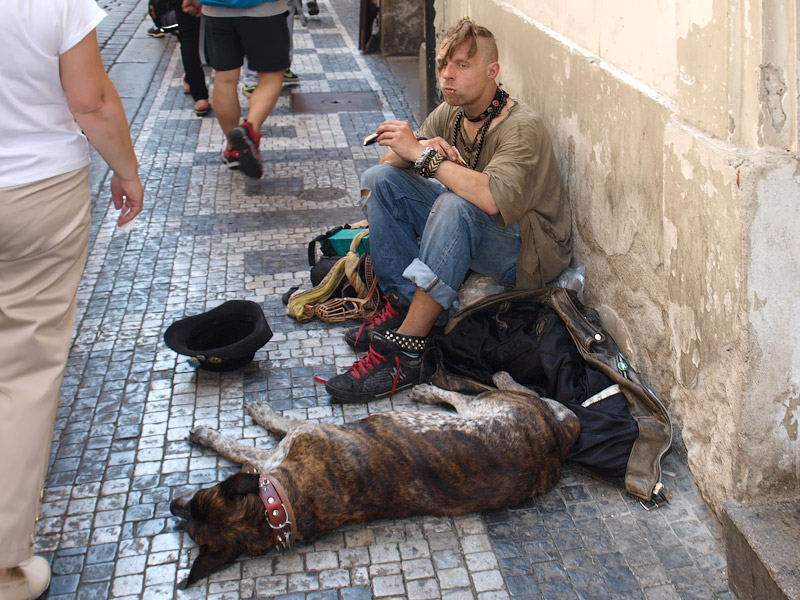 ������� ���������: �� ������. ������ �� ���������� ������