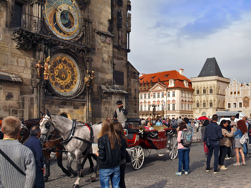 ������� ���������: ������� ���������. ������������� �������