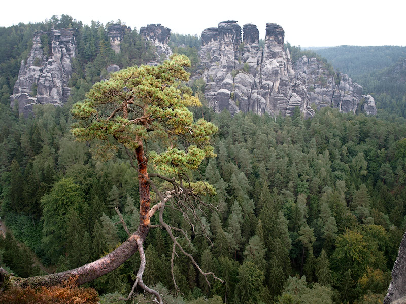 ������� ���������: ������ ��� ���������. ������