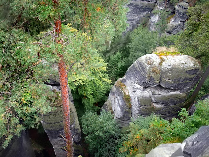 ������� ���������: ����������� ������ ��������������. ������