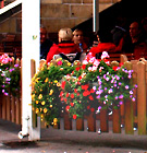 ������ ���